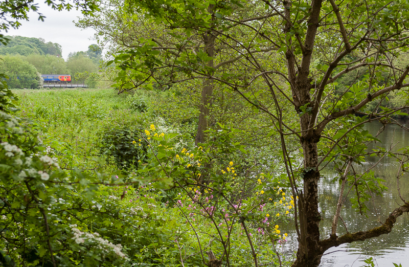 June 2015 River Derwent near Allestree with Class 153 unit Phoenix