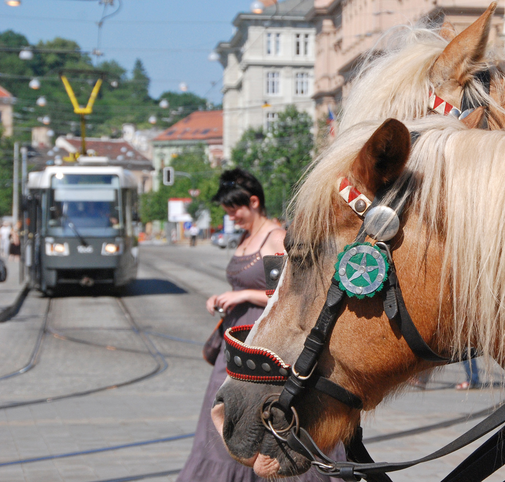 Brno Festival of Transport 2
