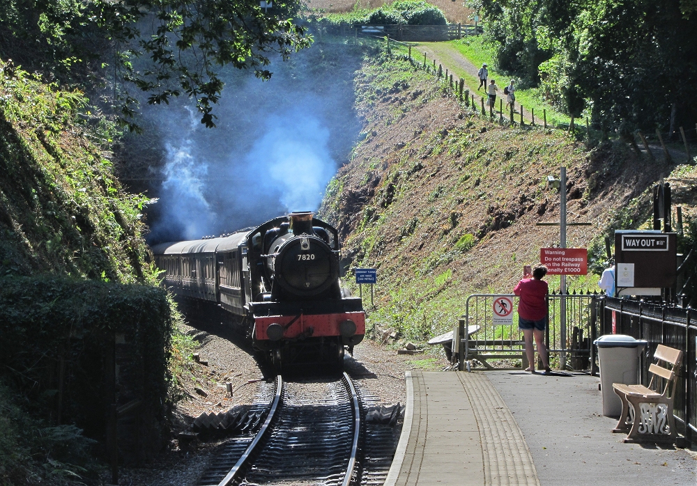 Greenway Halt arrival.
The fireman puts the blower on as 7820 emerges from Greenway Tunnel with the 14.10 Kingswear - Paignton

