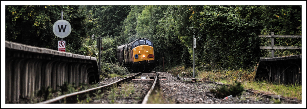 Branch Line Bash
The Branch Line Society's "565 Special" approaches Bucknell on the Heart of Wales Line, with Colas 37's 37254 "Cardiff Canton" and 37175 up front. This was the return leg of 1Z65, the private charter tour from Carmarthen to Carnforth.

