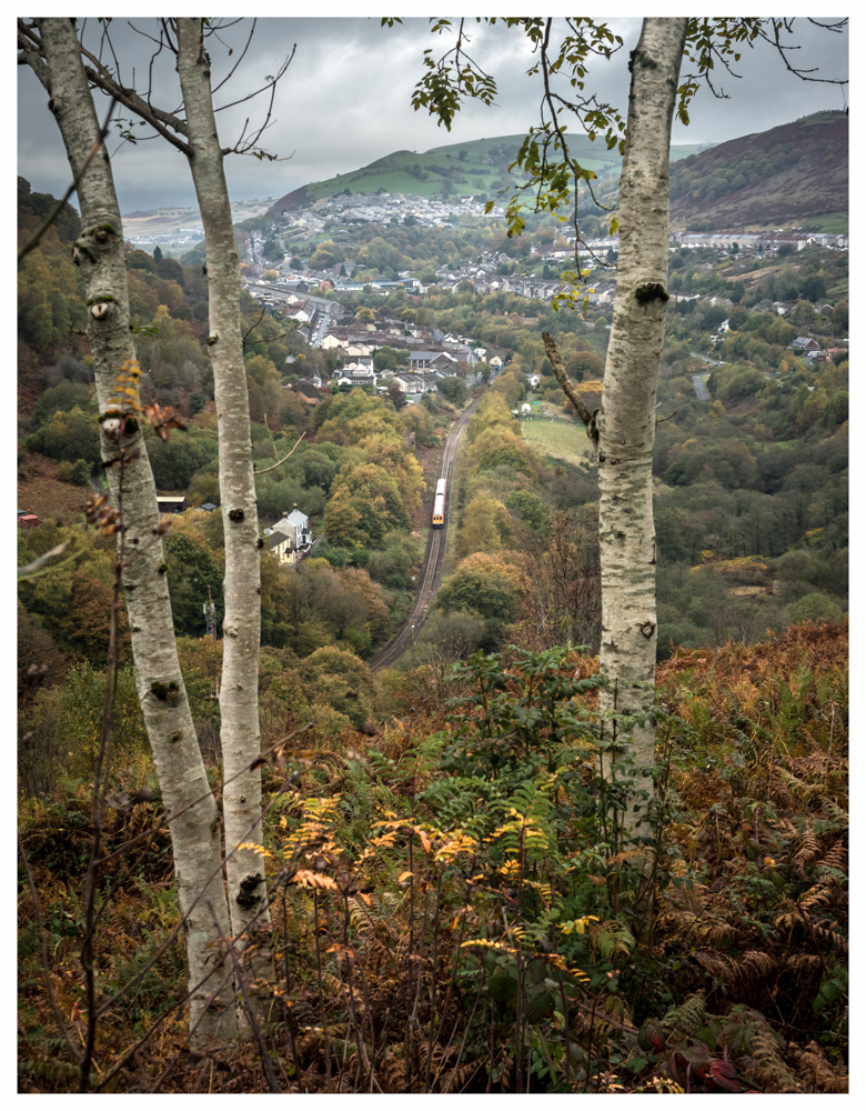 Rhymney Valley Service
An unidentified class 769 diesel unit trundles away from Brithdir in the murk of the Rhymney Valley, South Wales, working 2P45, the  11:27 Rhymney to Penarth service, espied through a trio of silver birch.
