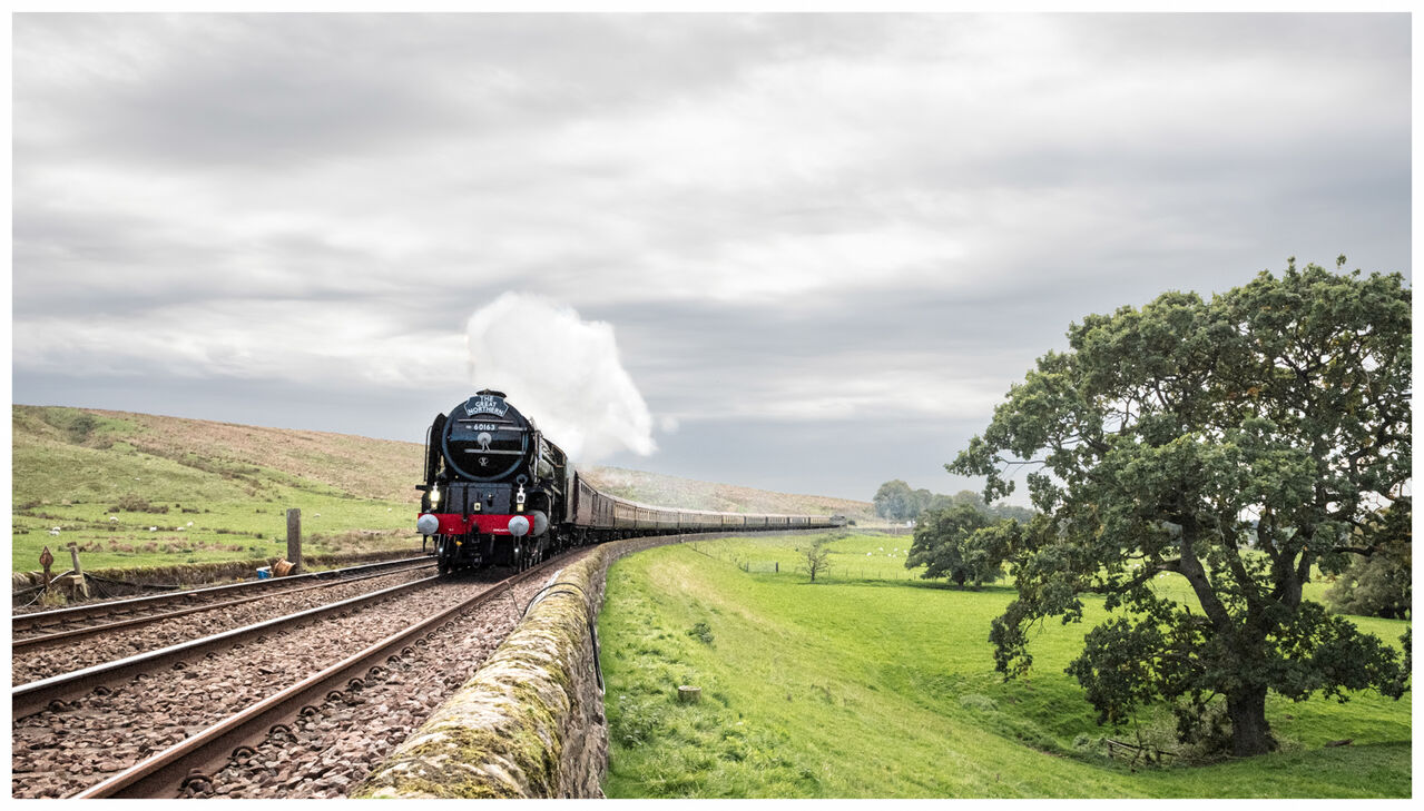 Tornado on the Tyne Valley
Peppercorn A1 Tornado working 1Z63, The Great Northern, 15.11 Carlisle to Birmingham New Street steam charter through Upper Denton and heading for Haltwhistle on The Tyne Valley Line, Saturday 26.9.26
