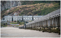 DSC_5952-JpegB~0.jpg