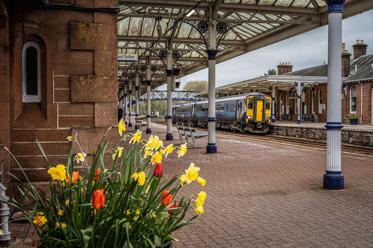 Dunfries Daffs
ScotRail Class 156 Nos. 156506 & 156453 arrive at Dumfries with 1L55, the 15:03 Glasgow Central – Dumfries service on Sunday 16th April 2023. Southbound services were terminating here due to engineering works on the WCML near Gretna Junction. 
