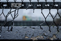 DTG_4946-1-PRPC.jpg