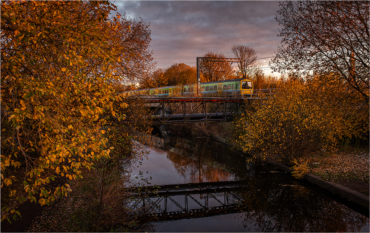 Colours of Autumn
Centro celebrity 323221 "Hunslet" runs by the autumnal colour on the Birmingham & Worcester canal at Selly Oak working 2O10 Lichfield City to Bromsgrove.
