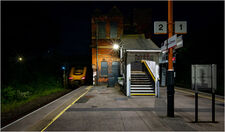 Into-the-Night~0.jpg
