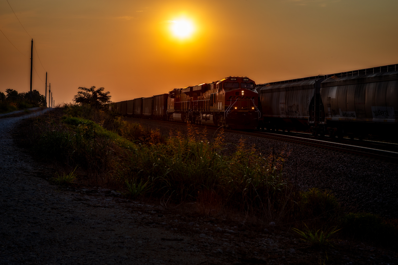 On Time Morning Dew
A northbound empty coal train passes a southbound freight train in the siding at Turners. MO, just right after sun rise.  Although the temperature was already over 80F, it was still humid enough that the everything was cover with morning dew.
