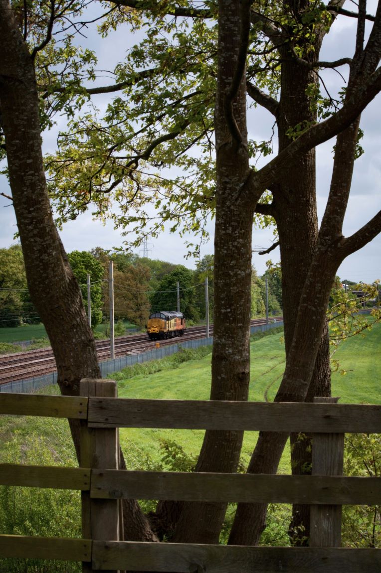 Branching Out
Colas Rail 37219 approaching Winwick Junction on an inspection run, returning to Preston from Crewe.
