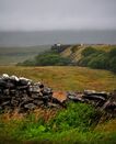 DSC_0061_low_res.JPG