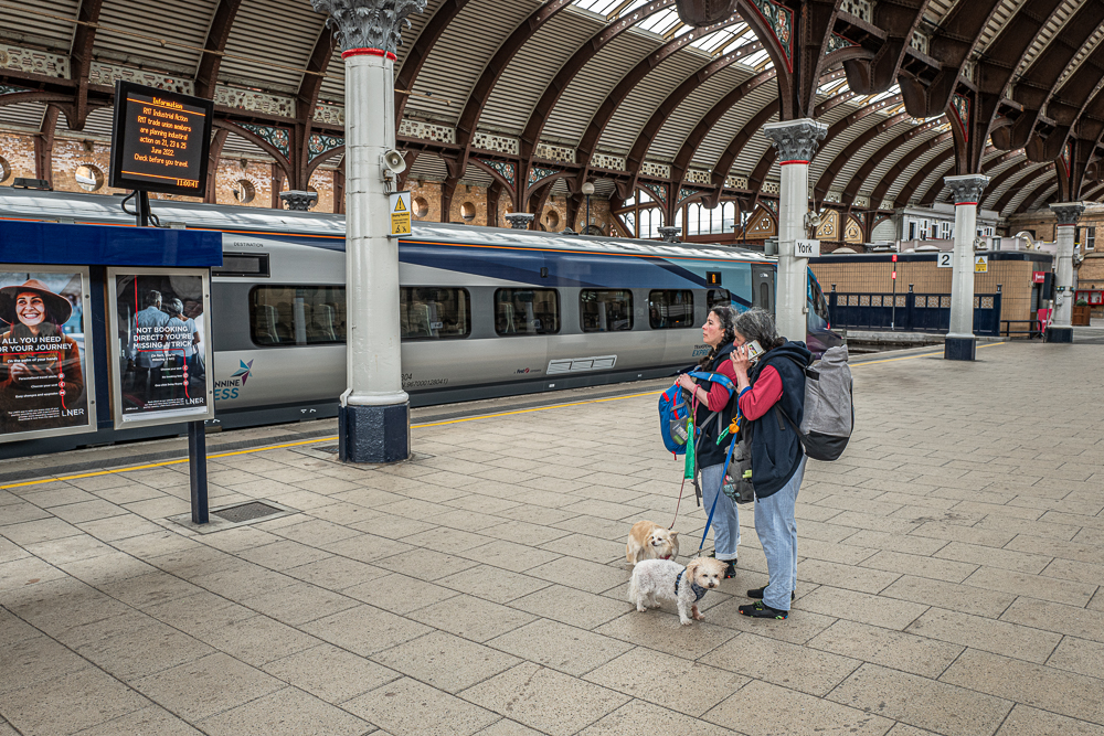 Travelling together.
