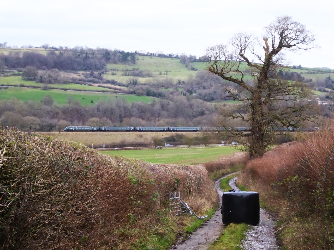 Green train in a green landscape
The farmer was fed up with folks wrecking his gate, so he deposited a large hay bale to block the lane. Decided to leave it in the image, rather than crop the lower third of the photo. And the train? 800301 on 1A21 1300 Bristol - Paddington.
