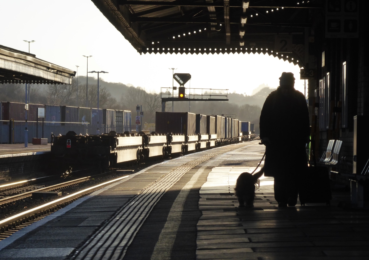 Interlude at Westbury
The afternoon Wentloog to Southampton freightliner slips unnoticed through Westbury.
